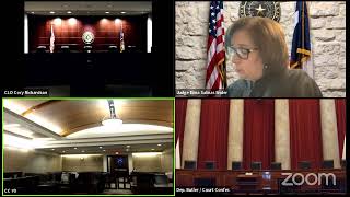 Judge Gloria Saldaña   County Court 9   Criminal Court Docket