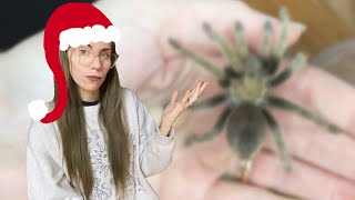 I'm NOT keeping this tarantula .. UNBOXING