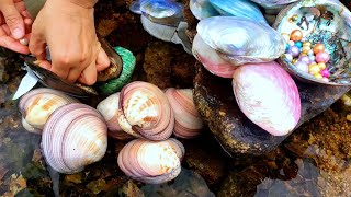 У этих драгоценных моллюсков есть жемчуг? как их получить