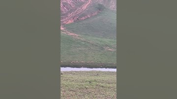 Rolling a Tire Down a Mountain