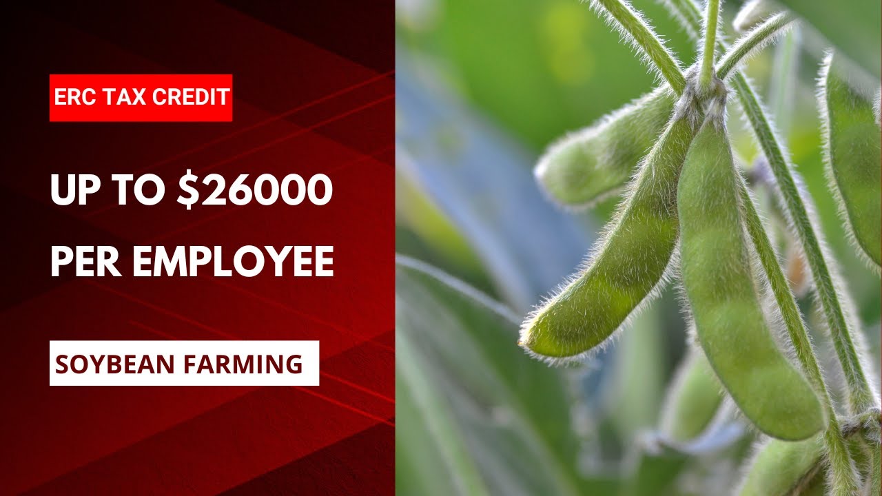 Soybean Farming Your Ticket to Massive Tax Savings and Business Growth! YouTube
