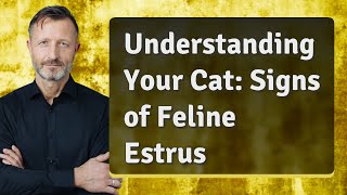 Understanding Your Cat: Signs of Feline Estrus