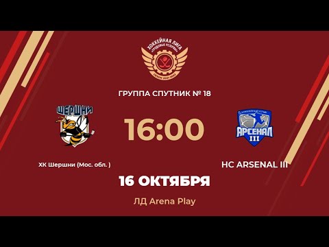ХК Шершни (Мос. обл.) – HC ARSENAL III | Группа Спутник №18 | ЛД Arena Play