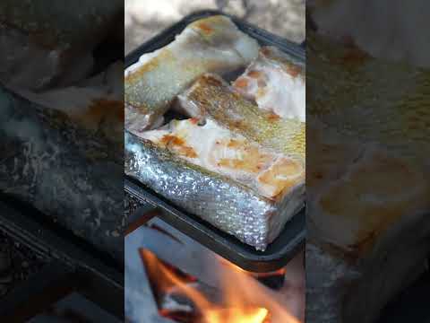 【ソロキャンプ飯】秋鮭のキムチチーズサンド（秋キャンプ、ホットサンドメーカー） #キャンプ #camping #ソロキャンプ #camp #shorts #キャンプ飯