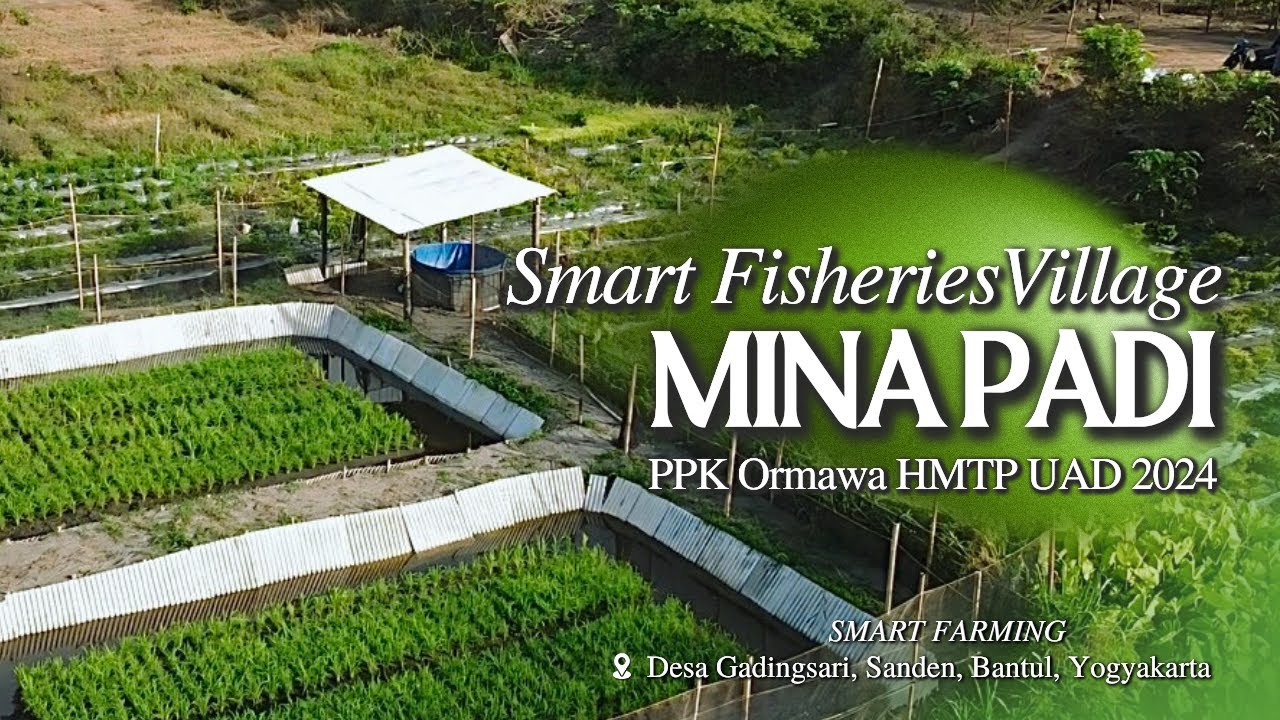 Smart Fisheries Village Mina Padi | Video Profil PPK Ormawa HMTP UAD 2024 | ABDIDAYA ORMAWA 2024