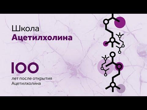 Вебинар Школа Ацетилхолина