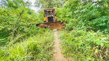 The Fastest Way to Service Forest Roads Full of Bushes Using a CAT D6R XL Dozer