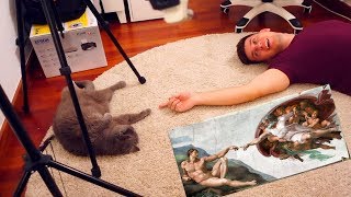 картинка: VLOG: ЧТО ТАМ С ПРАВАМИ?  12.11.18