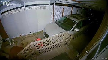 Bear Breaks Into Bear Proof Trash Can || ViralHog