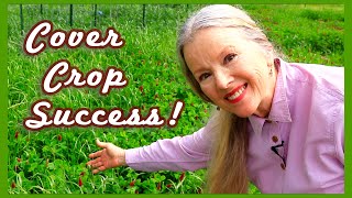 Cutting the Cover Crop + more medicinal plants!