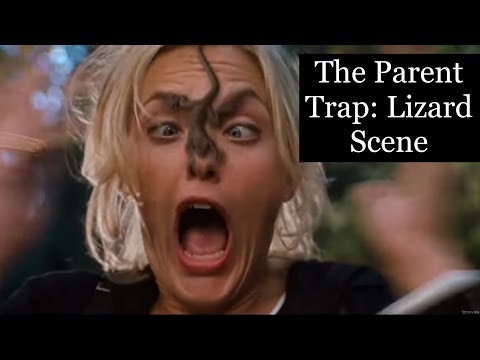 The Parent Trap: Lizard Scene 🦎