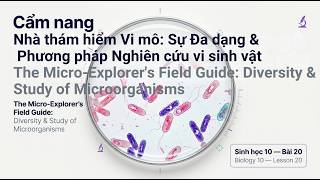 Biology 10 – Lesson 20: Diversity and Research Methods of Microorganisms