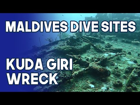 Maldives Dive Site | Kuda Giri Wreck | South Male Atoll