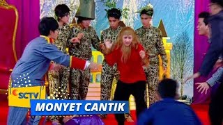 Highlight Monyet Cantik 2 - Episode 3
