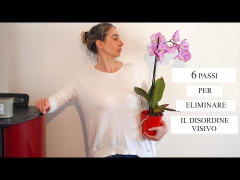 Video: Kako biti lastni certifikacijski organ (s slikami)