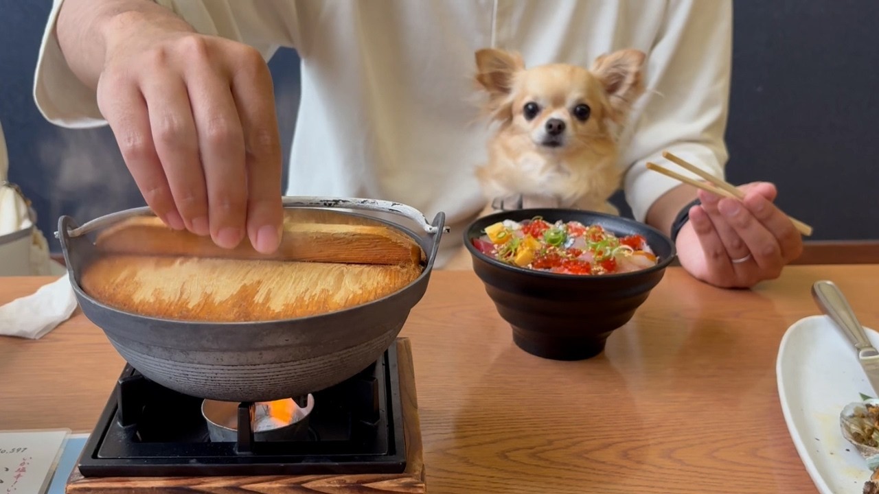 Even on our Izu trip, the Chihuahua just can't stop clinging to