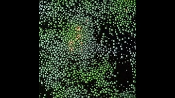 X-Particles turbulence in cinema4d #cinema4d #animation #redshift3d