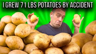 I Grew 71 LBS Of Potatoes By ACCIDENT!