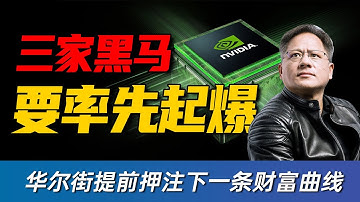 英伟达财报前夕：AI泡沫要破？华尔街却提前押注下一条财富曲线，3 家黑马或将率先起爆！TSLA，NVDA，PLTR，AAPL，GOOG，SMCI
