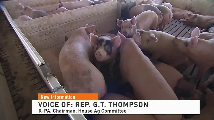 Battle Over Proposition 12 Farm Bill Continues