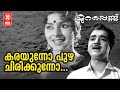 Karayunno Puzha Chirikunno - Murapennu (1965) | K.J Yesudas | P Bhaskaran | B.A Chidambaranath