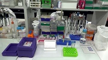 After US aid cuts, data shows HIV testing drops in South Africa | REUTERS