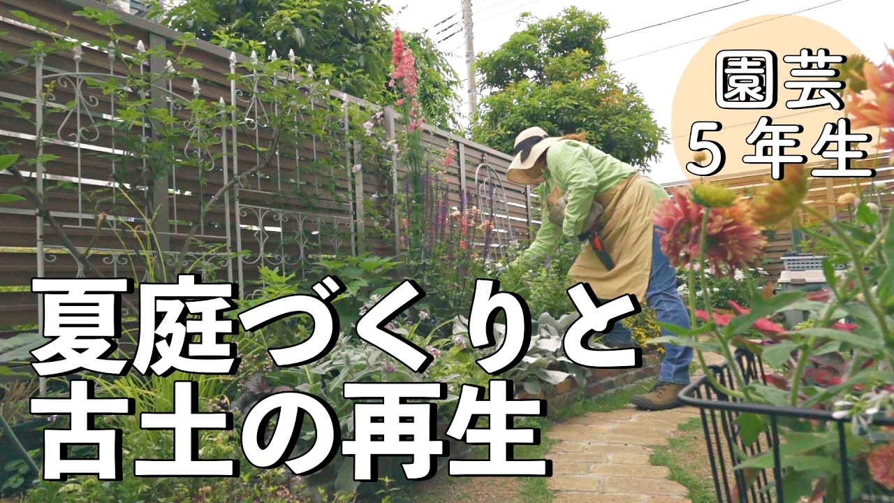 【ガーデニング】新たな沼と遭遇した園芸５年生の夏庭づくりと古土再生｜超カルスNC-Rのメリットとデメリット｜小さな庭