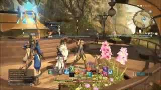 Final Fantasy 14: A Realm Reborn   Gameplay 2