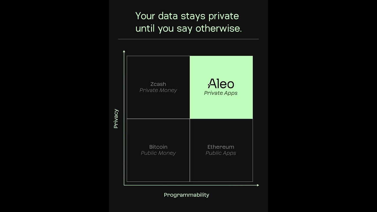 Aleo Features: Programmable Privacy