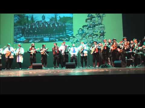 Afonsina Tuna de Engenharia da Universidade do Minho - Hino da Afonsina  - XVI Fartuna (2014)