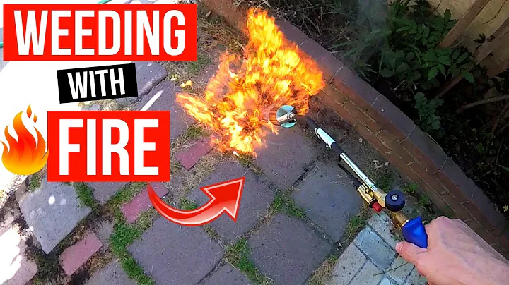 How To Get Rid of WEEDS with Propane Torch -Jonny DIY