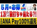 【5月最新】ANA Pay100%還元&1万pt当選ラッシュ?!GW必見のキャンペーンまとめ