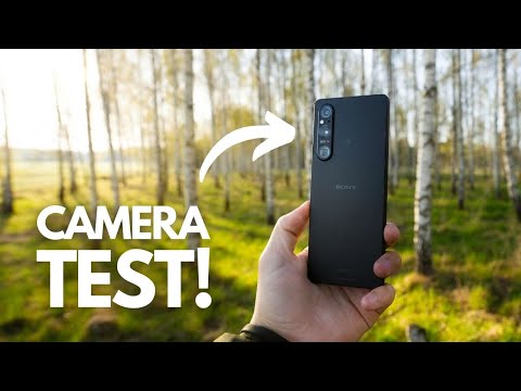 Xperia 1 V In The Field - Cinematic Nature Photography