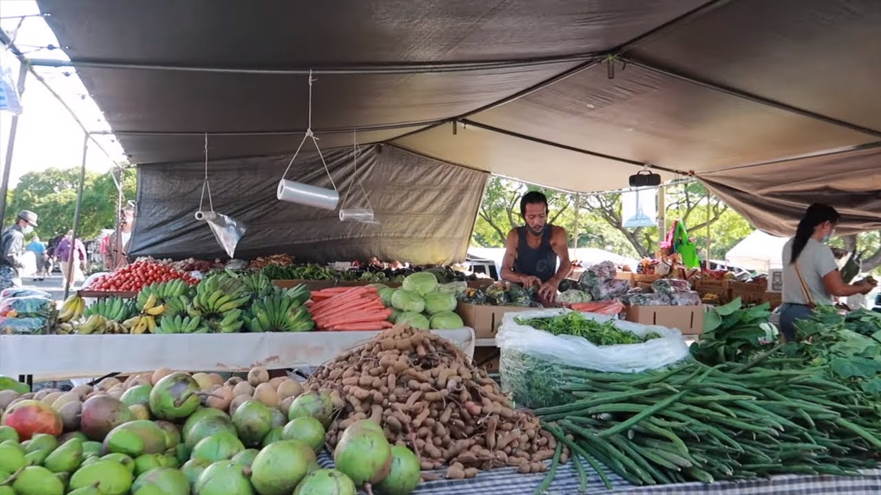 cho troi o my Update ĐI CHỢ TRỜI Ở MỸ BÁN NHIỀU QUẦN ÁO RẺ VÀ TRÁI CÂY NGON | DU LỊCH HAWAII | VLOG 85
