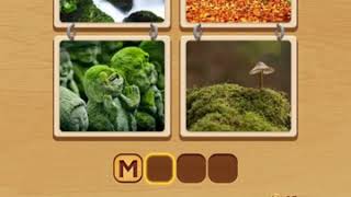 4 Pics Puzzle Guess 1 Word 15 Package Level 1 Answers screenshot 5