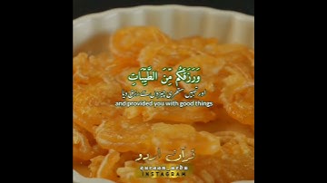 سورة الأنفال:٢٦-٢٨|Al Anfaal: 26-28|سلمان العتيبي|Salman alutyaibi|قرآن اردو ترجمہ|Quran Translation