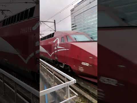 Amsterdam ???? Sloterdijk #subscribe #youtuber #trains #amsterdam