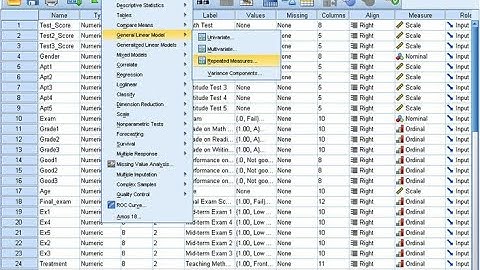 Binomial Probability Distribution Function Analytical Computation and with SPSS