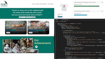 CS50 Final Project - Feline
