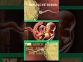 Mind-Blowingl Miracles in the Quran That Science Later Proved True"**