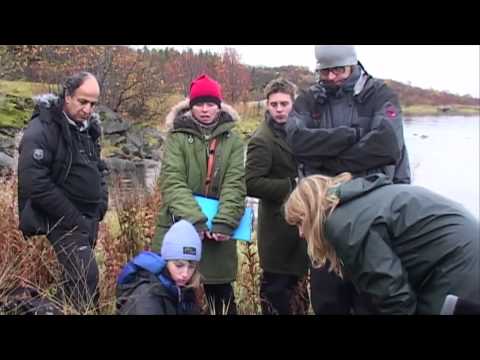 Video: Konsten Att Inleda Samråd