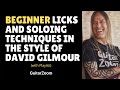 Beginner Licks and Soloing Techniques In The Style Of David Gilmour by Steve Stine