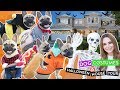My Dog Tries On Halloween Costumes!! + Halloween House Tour!