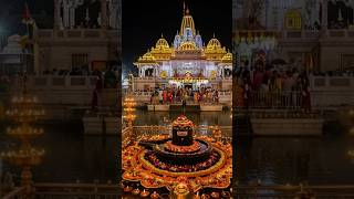 Download Lagu om namah parvathi pathe har har mahadev #mahadev#shorts #devotionalsongs MP3 Download Lagu om namah parvathi pathe har har mahadev #mahadev#shorts #devotionalsongs MP3
