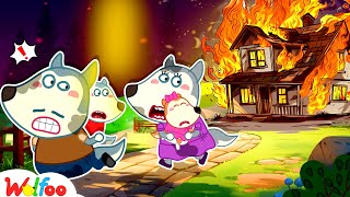 Run! Wolfoo House is Burning!  Wolfoo Learns Safety Tips | Fire Safety Cartoon | Wolfoo Family