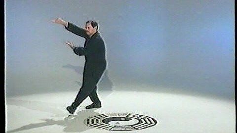 Baguazhang 9 Dragon Heaven Palm Free Style Circle Walking