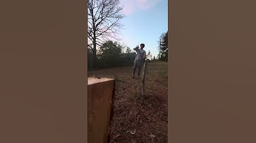 Pine spear #stoneage #bushcraftbackpack #archery #survival #spearhead #javelin #javelinthrow