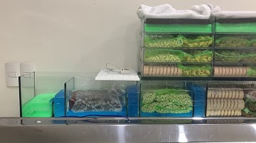 Lọc tràn trên kết hợp dàn mưa