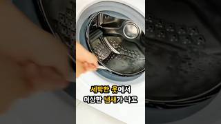 6000원으로 세탁기 냄새 없애기 #생활 #리뷰모아 #살림템