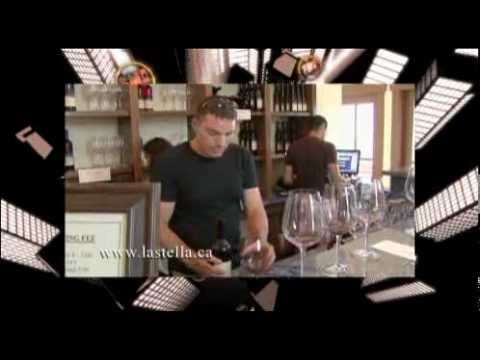 FMA Entertainment Weekly Season 1 Episode 7 - "Oly...